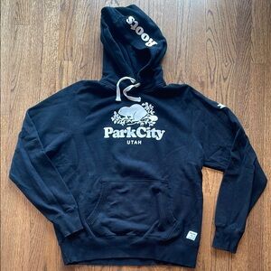 Roots Park City Hooded Sweater